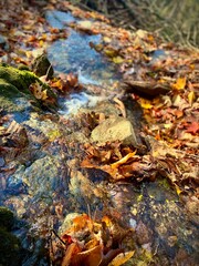 Stream along Table Rock Trail in Colebrook, New Hampshire during autumn.