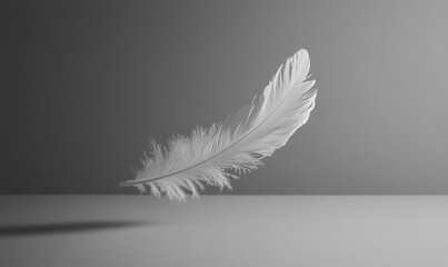 Obraz premium Minimalist white feather floating in clean studio space, elegant and serene still life concept