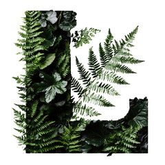 Green Ferns and Leaves Forming an 'L' Shape