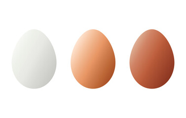 Set of a realistic eggs - white, dark and light brown chicken eggs. Vector illustration isolated on white background. chicken egg. Poultry farming and food sales concept. Bio eggs from a farm.