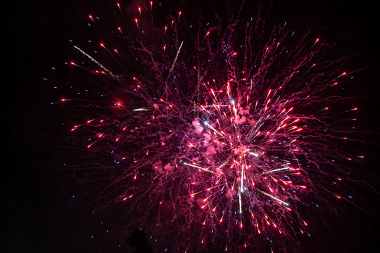 Pink fireworks explode in the night sky. Selective focus.