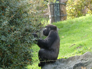 Zoo, nature, animals, family hollidays
