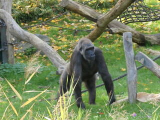 Zoo, nature, animals, family hollidays