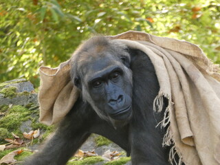 Zoo, nature, animals, family hollidays