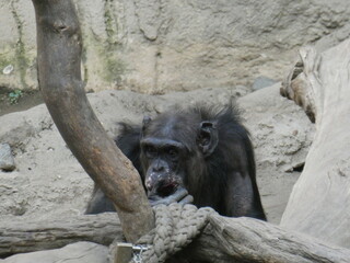 Zoo, nature, animals, family hollidays