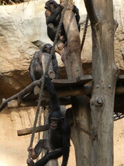 Zoo, nature, animals, family hollidays