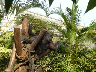 Zoo, nature, animals, family hollidays