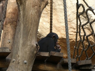 Zoo, nature, animals, family hollidays