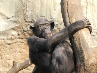 Zoo, nature, animals, family hollidays