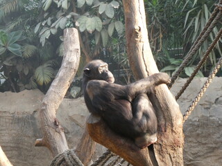 Zoo, nature, animals, family hollidays