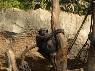 Zoo, nature, animals, family hollidays
