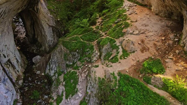 Cave Entrance Reveal Sunrays Rainforest Evergreen Nature