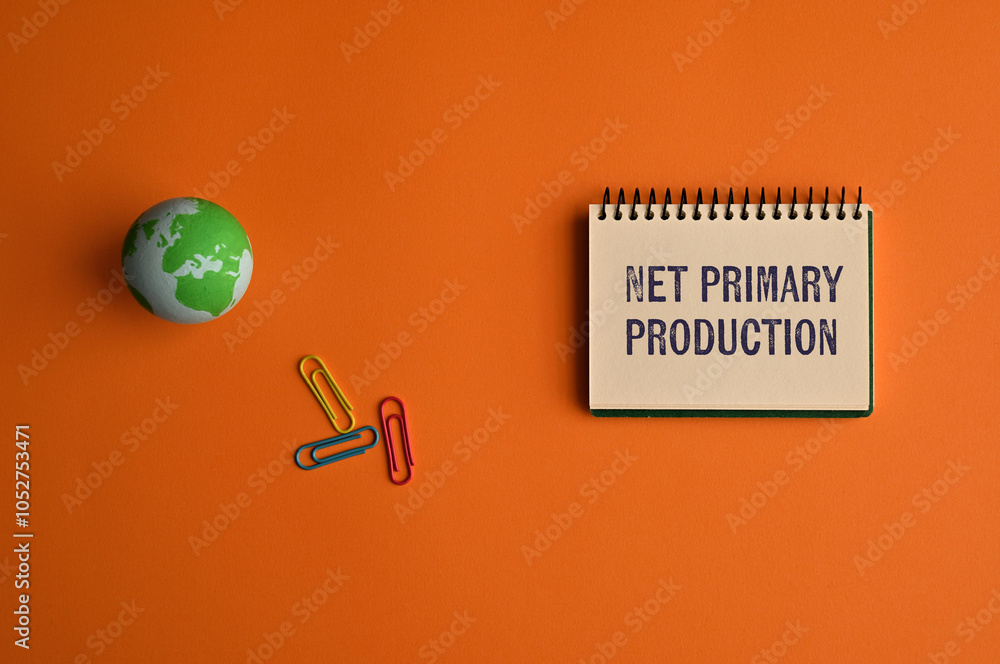 Poster there is notebook with the word net primary production. it is as an eye-catching image.
