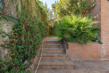 Urban garden: To grow your own vegetables and aromatic herbs