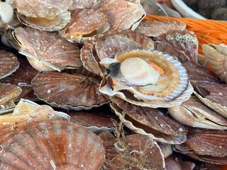 Full frame image of raw scallops in weathered shells