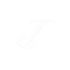 Elegant Cursive Letter T - White on Black Background