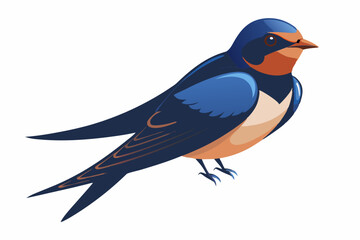 Obraz premium Barn Swallow, Hirundo rustica, perching against white background