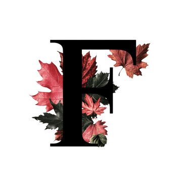 recommend clip art: Autumn Leaves Letter F
