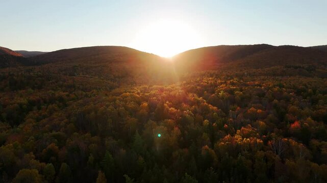 Sunrise along Cape Clear, Cape Breton. Autumn Fall Foliage aerial top view.  Cabot Trail. Mixed forest, deciduous trees with orange and yellow leaves. Fall colors. Cape Breton, Nova Scotia, Canada 