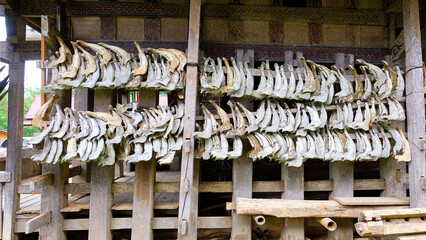 Animal Jawbones Hanging on Wooden Structure. exterior of a traditional Indonesian Toraja house