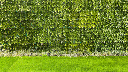 A wall covered in dense green foliage with artificial grass in front. Artificial plant for background