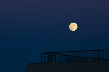 夜空の月