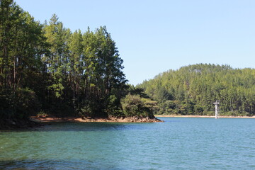 La Yeguada Forest Reserve, La Yeguada Reserva Forestal, Calobre, Veraguas, Panamá