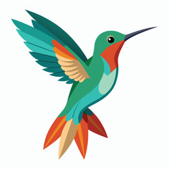 hummingbird vector illustration on white background