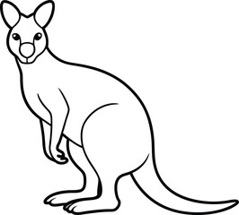 kangaroo illustration on white background