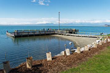 Obraz premium Bark mulch around new tree planting on a walkway in Motueka, New Zealand.