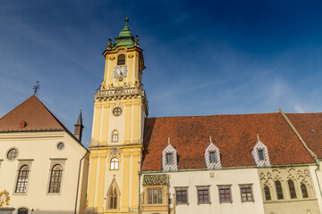 Fototapeta premium Bratislava, the capital of Slovakia cityscape. The churches and castle in the old city center