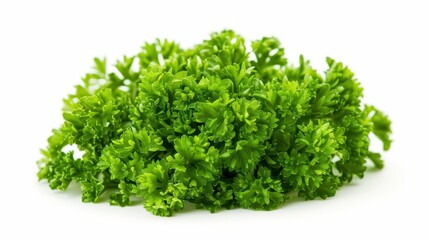 Fototapeta premium Discover the intricate details of finely chopped parsley in this high magnification macro shot against a clean white backdrop.