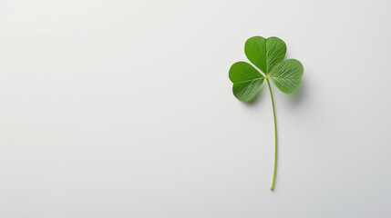 Bright green clover isolated on white, perfect for St. Patricks Day celebrations and themed designs with ample copy space.