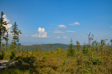 Multi-coloured panorama in the Beskid Mountains on the way to Barania Gora