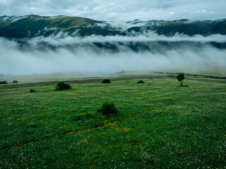 Aerial view of beautiful high altitude forest mountain landscape