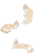 Siberian cat illustration water color party