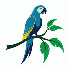 macaw on tree branch silhouette vector art