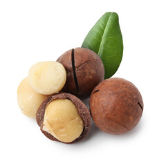 Macadamia nuts and green leaf on white background