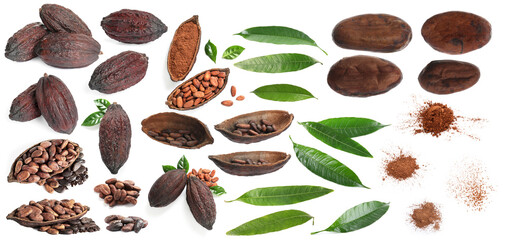 Cocoa powder, pods, beans and green leaves isolated on white