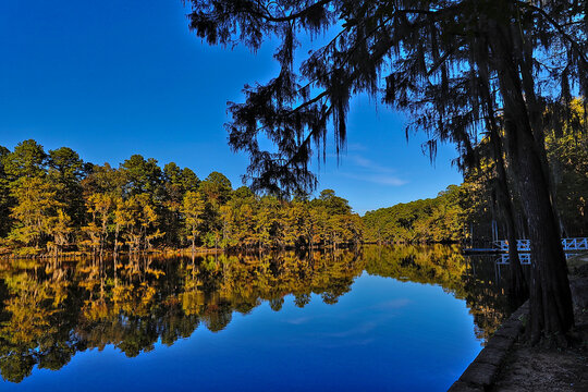 Caddo Lake State Park, with the beautiful scenes of the fall colors in the cypress trees and Spanish moss makes for a great visit.