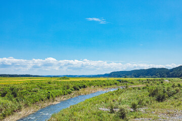 青空と川の風景