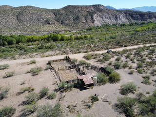 Old arizona desert coral

