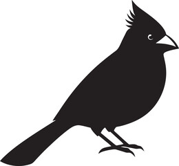 Bird black and white