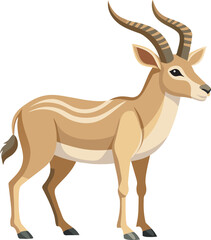 deer isolated on white