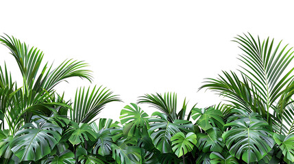 Obraz premium Transparent Background Fresh Green Palm Tree Leaves