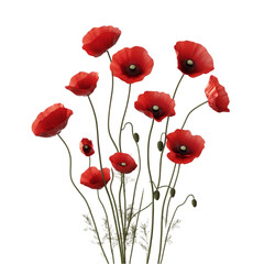 A bouquet of red poppy flowers with green stems and leaves.