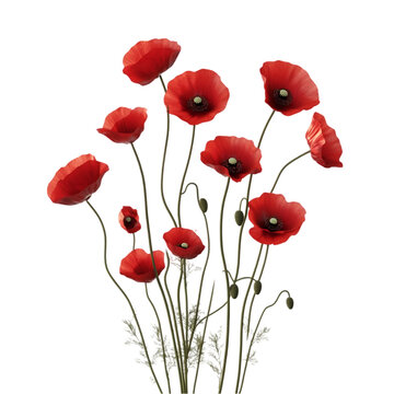 A bouquet of red poppy flowers with green stems and leaves.