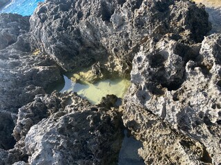 Obraz premium Tide pool 2.0