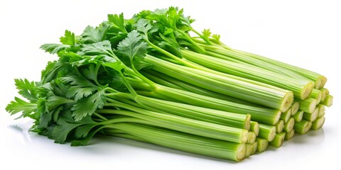 Fresh Green Celery Stalks with Leaves Isolated on White Background, Vegetables, Food, Nutrition