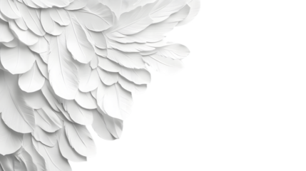 White angel wings on white background